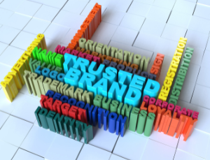 marketing and branding consultant